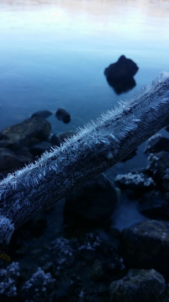 I went down to the lake and got a nice picture of some frost. Photo: Amelia