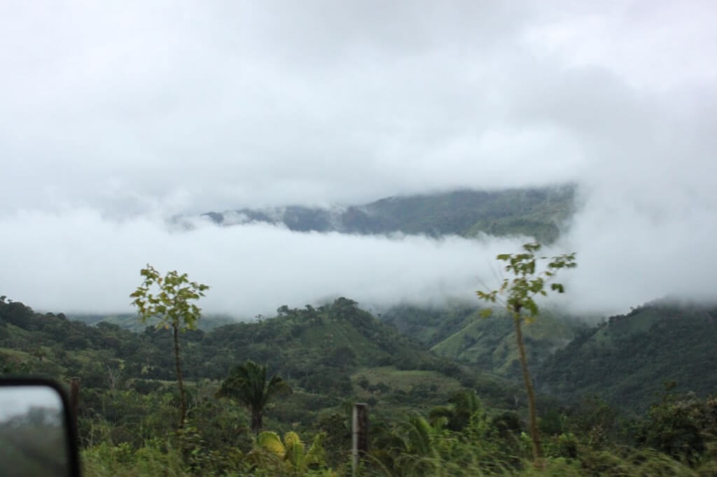 Cloud forests in southern Costa Rica. Photo by Nate.